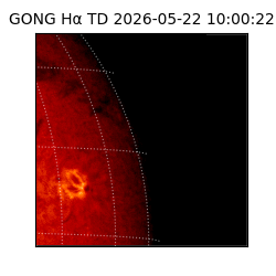 gong - 2026-05-22T10:00:22