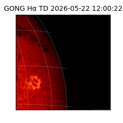 gong - 2026-05-22T12:00:22