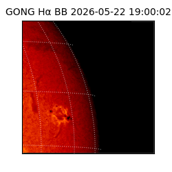 gong - 2026-05-22T19:00:02