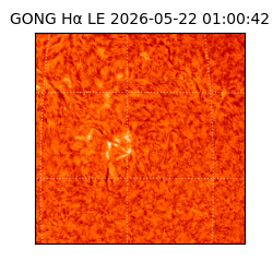 gong - 2026-05-22T01:00:42