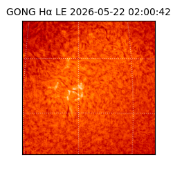 gong - 2026-05-22T02:00:42