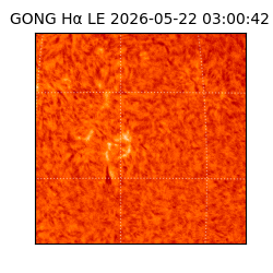 gong - 2026-05-22T03:00:42