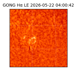 gong - 2026-05-22T04:00:42