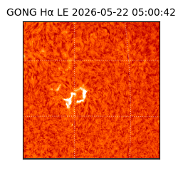 gong - 2026-05-22T05:00:42