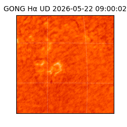 gong - 2026-05-22T09:00:02