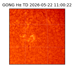 gong - 2026-05-22T11:00:22