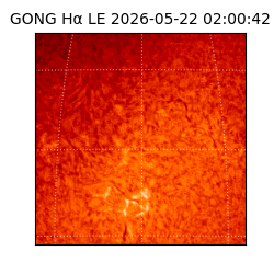 gong - 2026-05-22T02:00:42