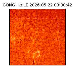 gong - 2026-05-22T03:00:42