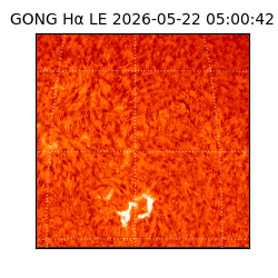 gong - 2026-05-22T05:00:42