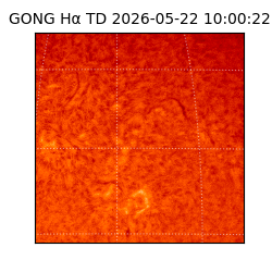 gong - 2026-05-22T10:00:22