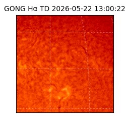 gong - 2026-05-22T13:00:22