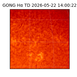 gong - 2026-05-22T14:00:22
