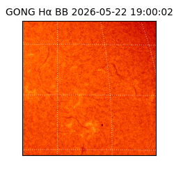 gong - 2026-05-22T19:00:02