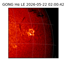 gong - 2026-05-22T02:00:42