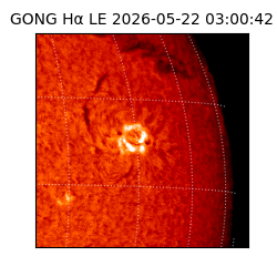gong - 2026-05-22T03:00:42