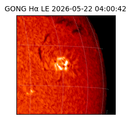 gong - 2026-05-22T04:00:42