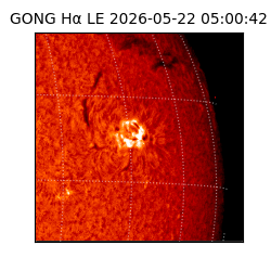 gong - 2026-05-22T05:00:42