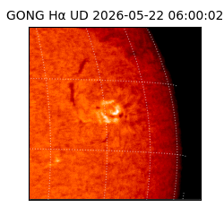 gong - 2026-05-22T06:00:02