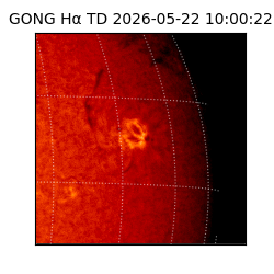 gong - 2026-05-22T10:00:22