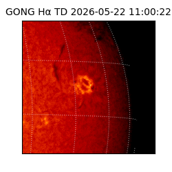 gong - 2026-05-22T11:00:22