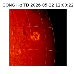 gong - 2026-05-22T12:00:22