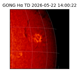 gong - 2026-05-22T14:00:22
