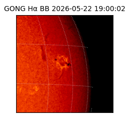 gong - 2026-05-22T19:00:02
