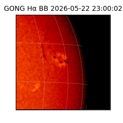 gong - 2026-05-22T23:00:02