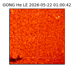 gong - 2026-05-22T01:00:42