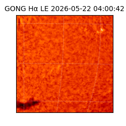 gong - 2026-05-22T04:00:42