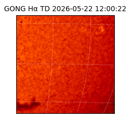 gong - 2026-05-22T12:00:22