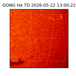 gong - 2026-05-22T13:00:22