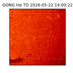gong - 2026-05-22T14:00:22