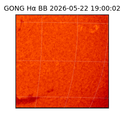 gong - 2026-05-22T19:00:02