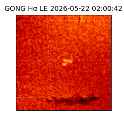 gong - 2026-05-22T02:00:42