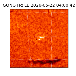 gong - 2026-05-22T04:00:42