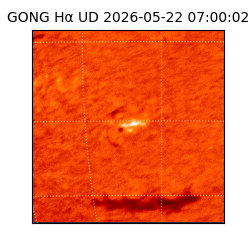 gong - 2026-05-22T07:00:02
