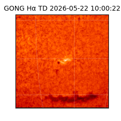 gong - 2026-05-22T10:00:22