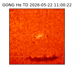 gong - 2026-05-22T11:00:22