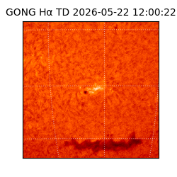 gong - 2026-05-22T12:00:22