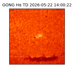 gong - 2026-05-22T14:00:22