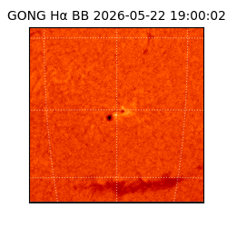 gong - 2026-05-22T19:00:02