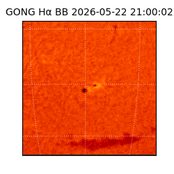 gong - 2026-05-22T21:00:02