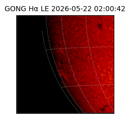 gong - 2026-05-22T02:00:42