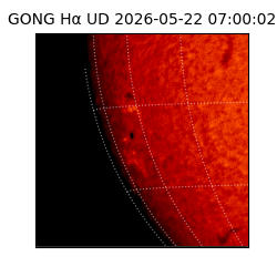 gong - 2026-05-22T07:00:02