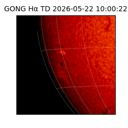 gong - 2026-05-22T10:00:22