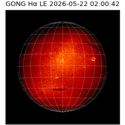 gong - 2026-05-22T02:00:42