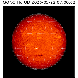 gong - 2026-05-22T07:00:02