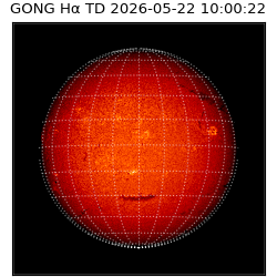gong - 2026-05-22T10:00:22