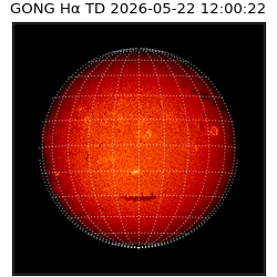 gong - 2026-05-22T12:00:22